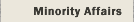 Services relating to minority affairs